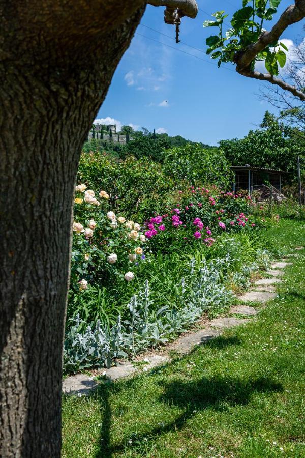 Rooms&Vinery Bregovi - Sobe In Vinska Klet Bregovi Dobravlje Eksteriør bilde