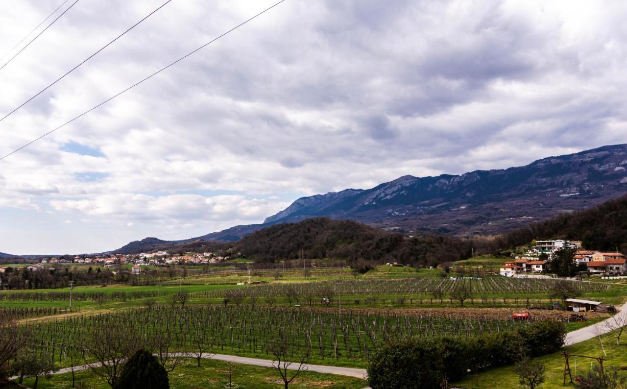 Rooms&Vinery Bregovi - Sobe In Vinska Klet Bregovi Dobravlje Eksteriør bilde